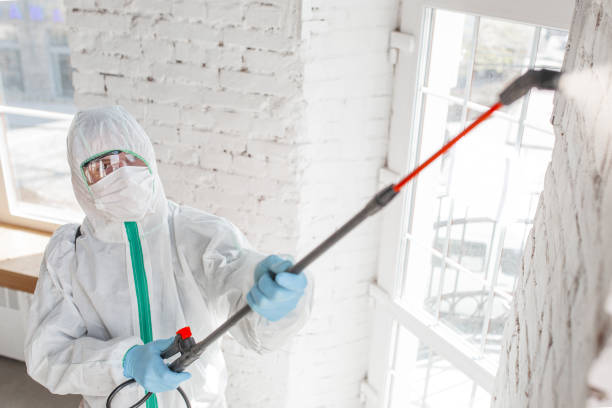 Best Asbestos and Lead Testing During Mold Inspection  in Niles, MI