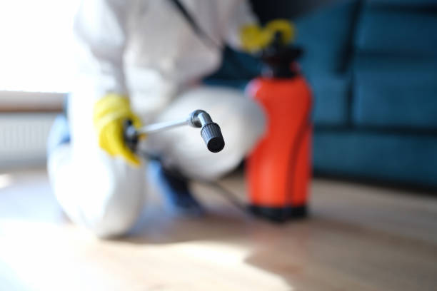 Reliable Niles, MI Mold Removal Solutions