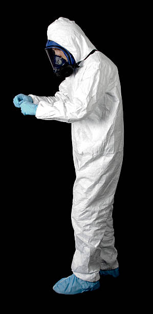 Professional Mold Removal in Niles, MI